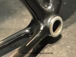 Parlee BB after