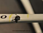 Colnago CX 1 chain stay before
