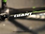 Giant TCR seat stay green after