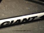 Giant TCR down tube after