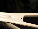 Trek Madone stay after