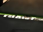 Giant TCR seat stay green before